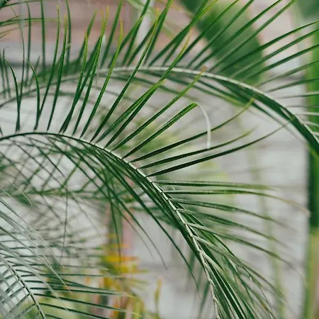 Ξενοδοχείο Derin (adults Only) 2*