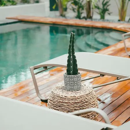 Derin (adults Only) 2* 阿拉恰特