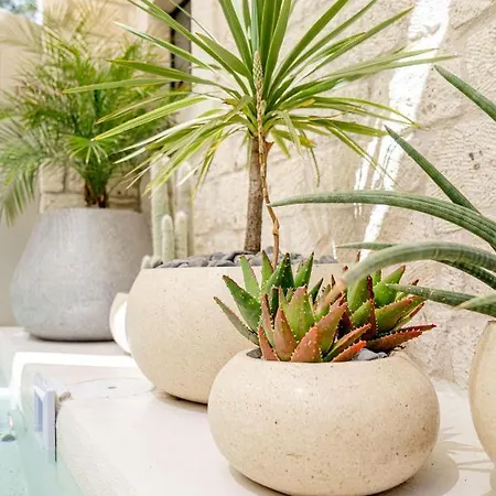 酒店 Derin (adults Only)