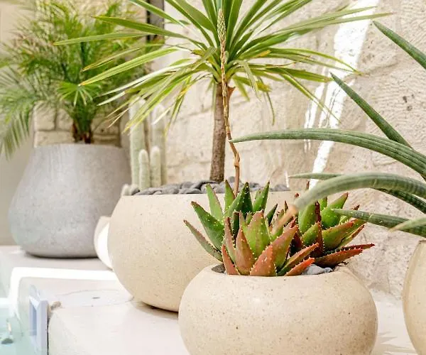 Hotel Derin (adults Only)